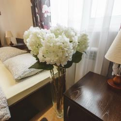 Фото Отель Asti Rooms (Асти Румс)