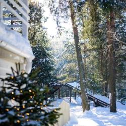 Фото Парк-отель Песчаный