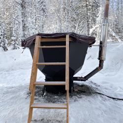 Фото Отель Брусника