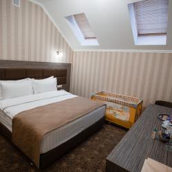 Фото Отель Родина