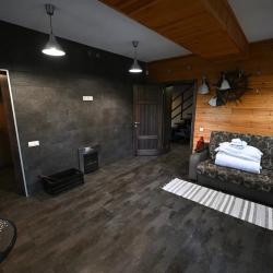 Фото Отель Снежные Гуси