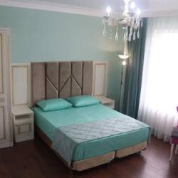 Комната люкс с 1 двуспальной кроватью (с завтраком)