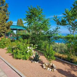 Фото Отель Жуковка