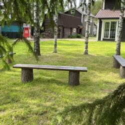 Фото Отель Гостевой комплекс Сосны