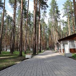 Фото Отель ДухЛес