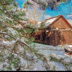 Фото Отель Русские Сезоны Вятские Дачи 5*