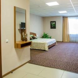 Номер люкс с 1 двуспальной кроватью