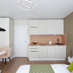 Апартаменты студия RoomyRoom Sonata