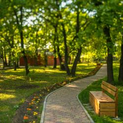 Фото Отель Дубровский парк-клуб