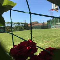 Фото Отель Эмма