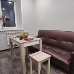 1-комнатные апартаменты стандарт с 2 диванами #3