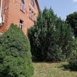 Фото Отель Аллюр