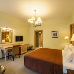 Номер делюкс с 1 двуспальной кроватью с балконом