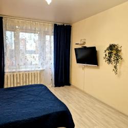 Фото Апартаменты в посёлке Новый Городок 4
