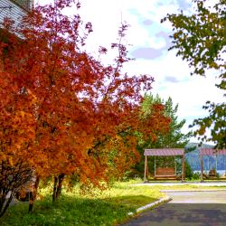 Фото Отель Русь