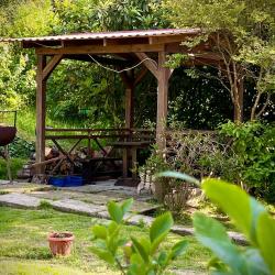 Фото Отель рис