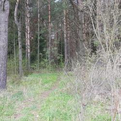Фото Отель Дилижанс