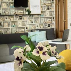 Фото Отель Niki Rent (Ники Рент) на Саратовском шоссе 53