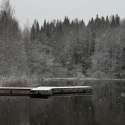 Фото Отель Birchdom (Бирчдом)