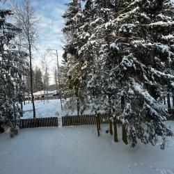 Фото Отель Дом в сосновом лесу