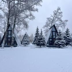 Фото Парк-отель АТМОС