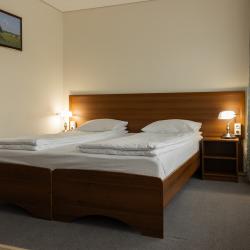 Номер стандарт с 1 двуспальной кроватью и видом на реку