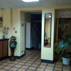 Фото Отель Альпина