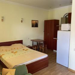 Комната люкс с 1 двуспальной кроватью (вид на сад)