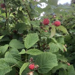 Фото Отель На Сайме