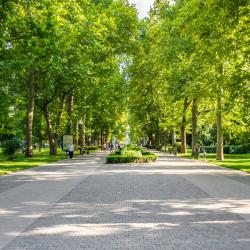 Фото Отель Pro Apart (Про Апарт) на улице Красная 165/1