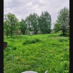 Фото Отель Морошка Хаус