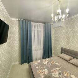 Фото Апартаменты на улице Зураба Магкаева, 2/2