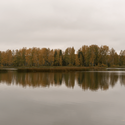 Фото Отель Мера