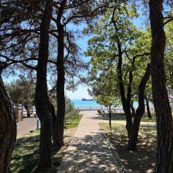 Фото Отель Черноморская здравница