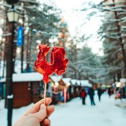 Фото Отель Вотчина