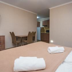 2-местные апартаменты студия (на цокольном этаже)