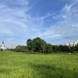 1-комнатные апартаменты студия