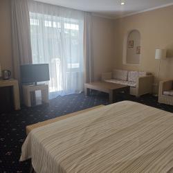 Номер полулюкс с 1 двуспальной кроватью (корпус Рубикон)