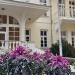 Фото Отель Смена