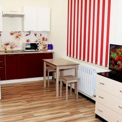 Фото Апартаменты на переулке Салтыкова-Щедрина