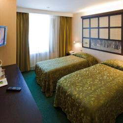 Фото Airhotel Moscow Domodedovo ZONT Hotel Group (Аэротель Москва Домодедово)