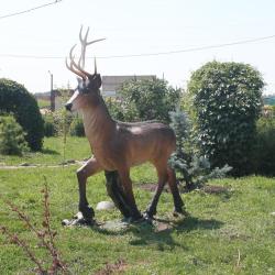 Фото Отель Роза Ветров