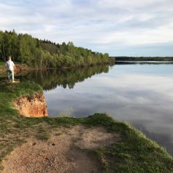 Фото Отель Дельфин