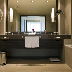 Фото Отель Holiday Inn Almaty (Холидей Инн )