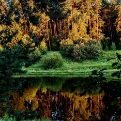 Фото Отель Актер Руза