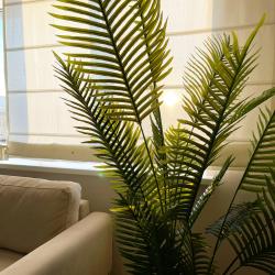 Фото Отель Leto (Лето)