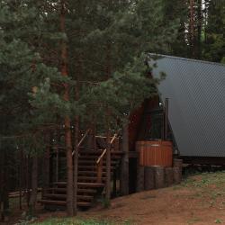 Фото Отель Хвойная хижина