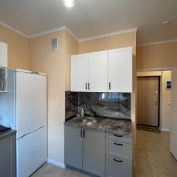 1-комнатные апартаменты стандарт Путилково Просторная 9