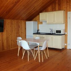 1-комнатные апартаменты люкс (мансарда)