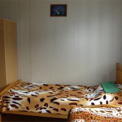 Номер стандарт с 2 односпальными кроватями